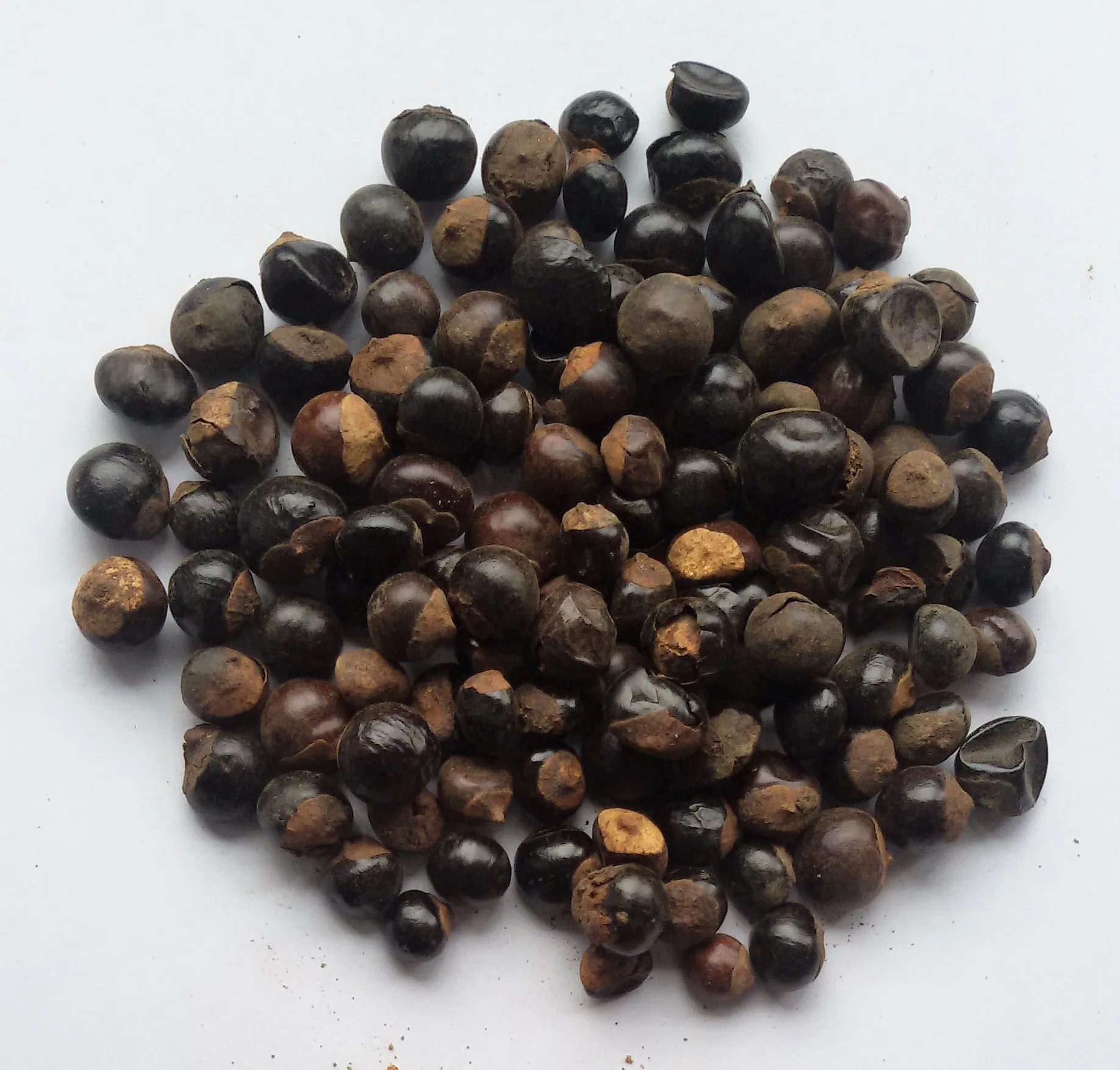 High Quality Guarana Extract Powder Pure Guarana Seeds Factory Supply Bulk