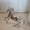 Un Espectáculo