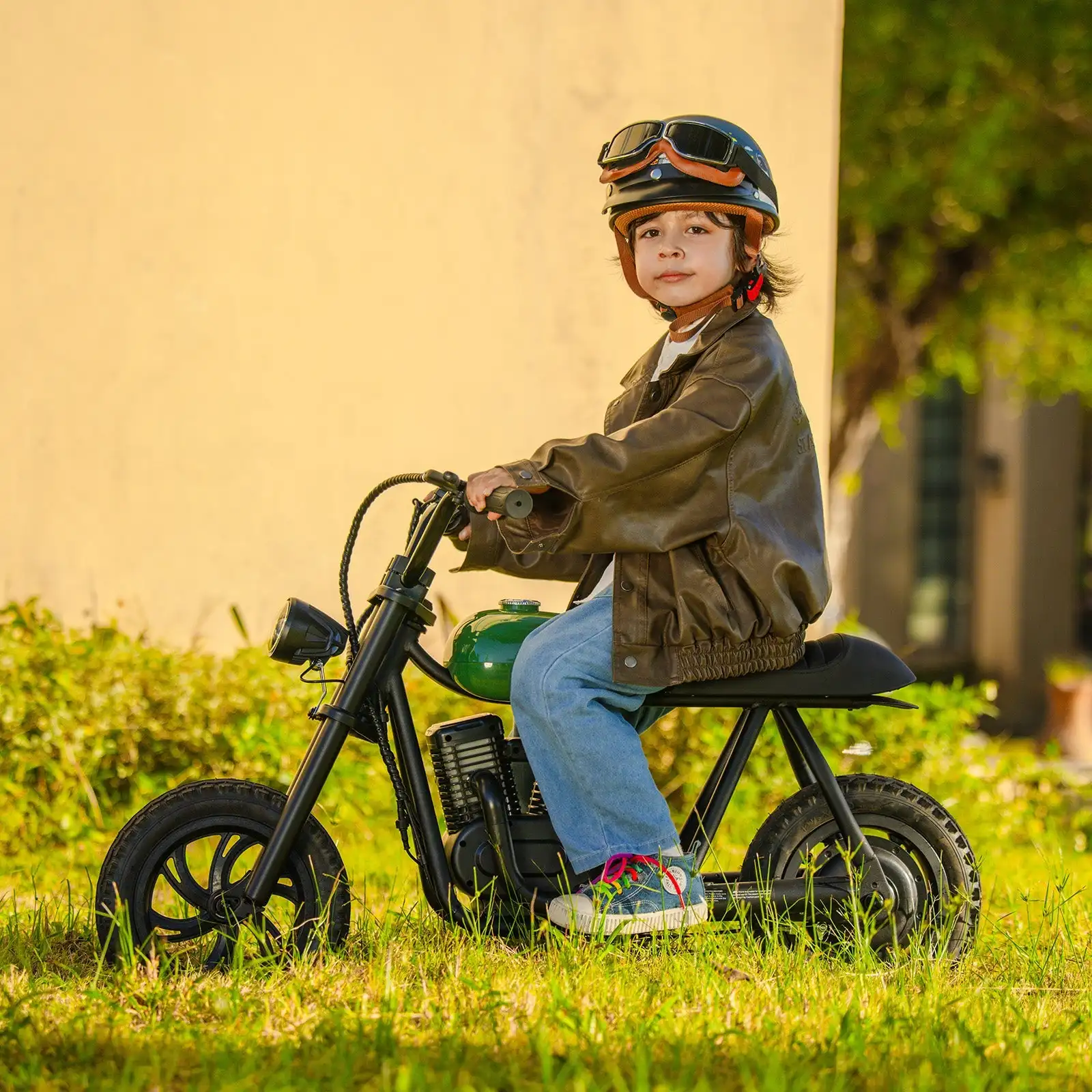 HYPER GOGO Pioneer 12 Premium Electric Motorcycles