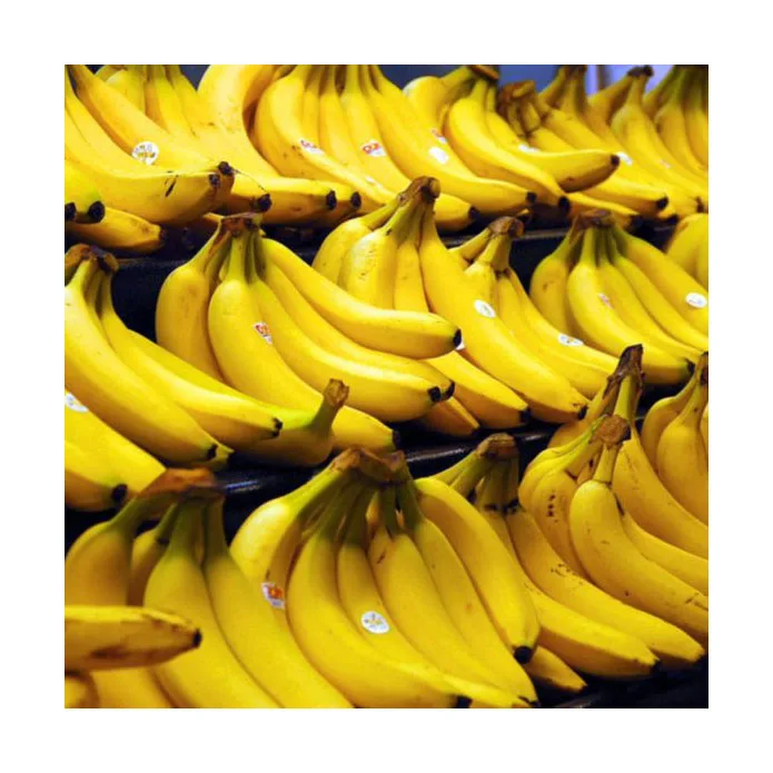 Top Grade Fresh Plantain Banana At Good Price Buy Fresh Bananas