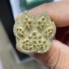 Chapado en amarillo