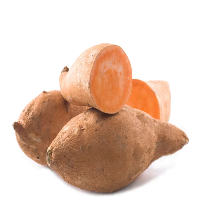 Sweet Potato Carton Boxes Common Cultivation Type 100 Natural 170