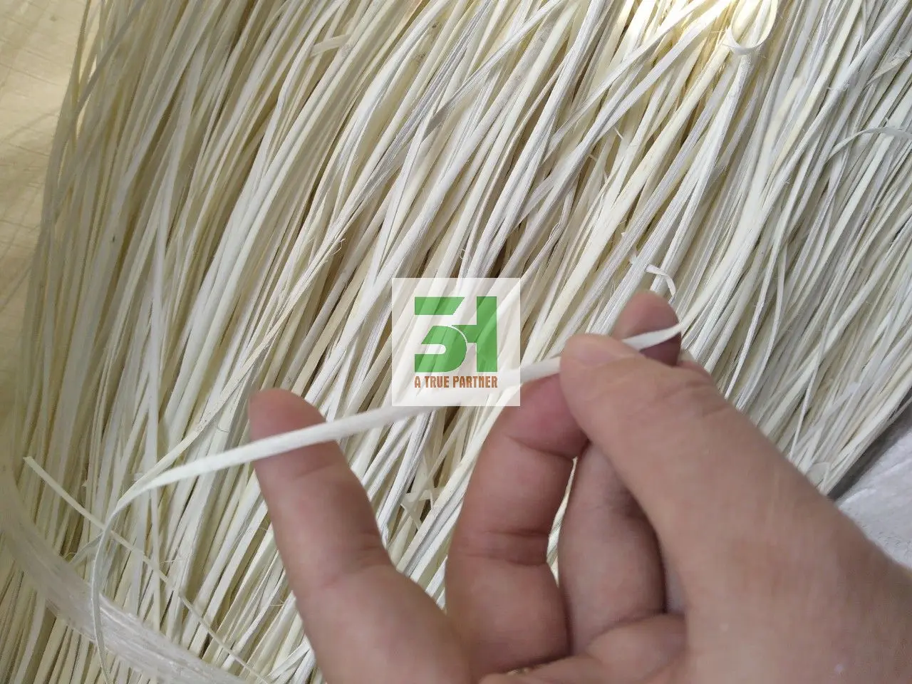 Rattan Peels From Viet Nam Good Price Top Product High Quality Cheap