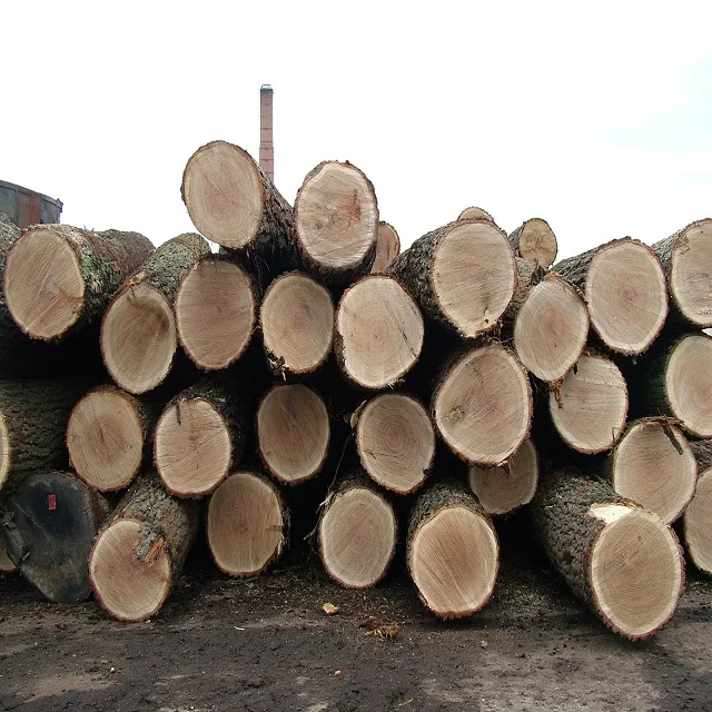 Dossier Timber Logs Crude Wood And Pine Spruce Birch Oak Ash Logs