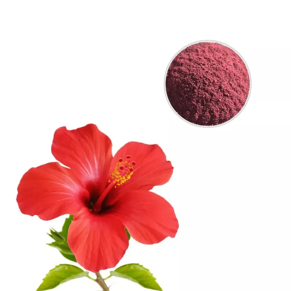 New Arrival Red Hibiscus Hair Herb Powder Hibiscus Powder For Hair Growth  And Hair Dandruff At Bulk Price For Export - Buy Organic Hibiscus Powder  For Hair Growth Oil Hair Treatment For