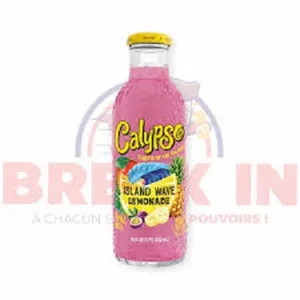 Calypso Sugar-Free Mixed Flavors Carbonated Juice Soda Best Value Bulk Bottles Wholesale Price Excellent Value for Money