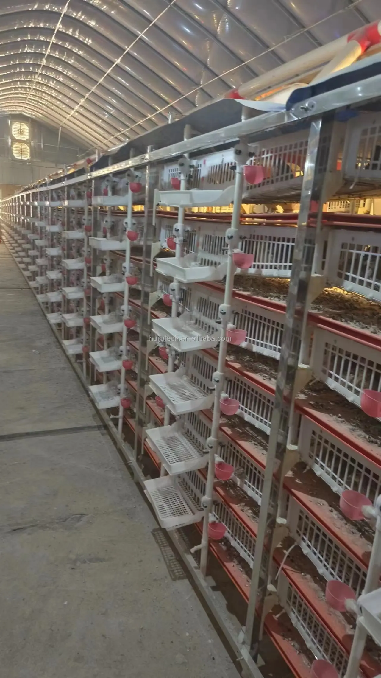 6 Layers Plastic Quail Cage Hj-qc400b With Durable Stainless Steel