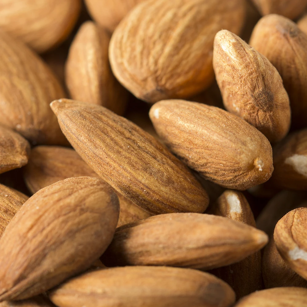 New Product/ New Stock Almonds Nuts at Wholesale Price for Sale