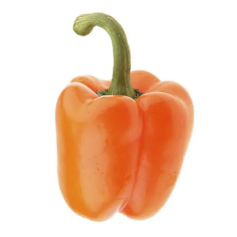 High Grade Organic Fresh Bell Peppers Export Price Vegetables Wholesale High Quality Fresh Organic Vegetables From Top Suppliers