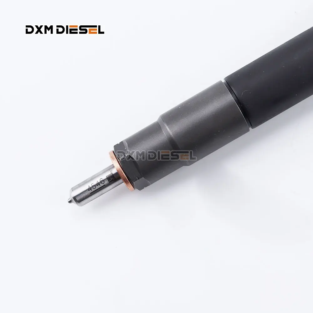 DXM Diesel Common Rail R03301D For Delphi JMC 2.8L EJB R03301D EJBR0 3301D Fuel Injection EJBR00301D factory