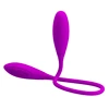Viola