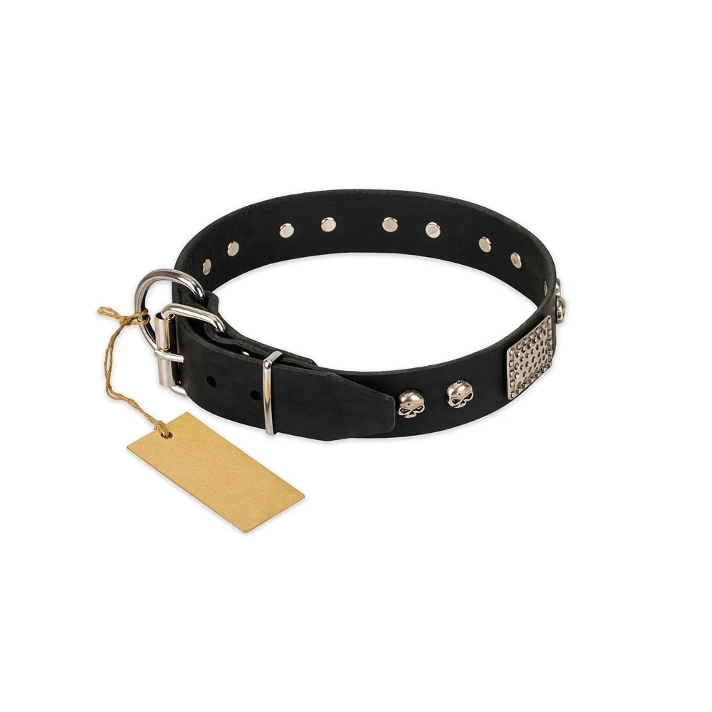 High Quality Heavy Duty Metal Buckle Pet Collar Large Personalized Dogs