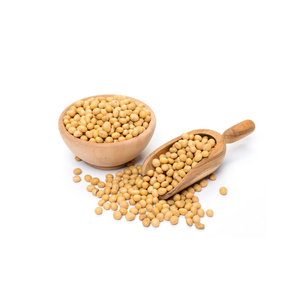 Non Gmo Soybeans / Soya Beans Soy Bean Seeds And Soya Bean Seeds Buy