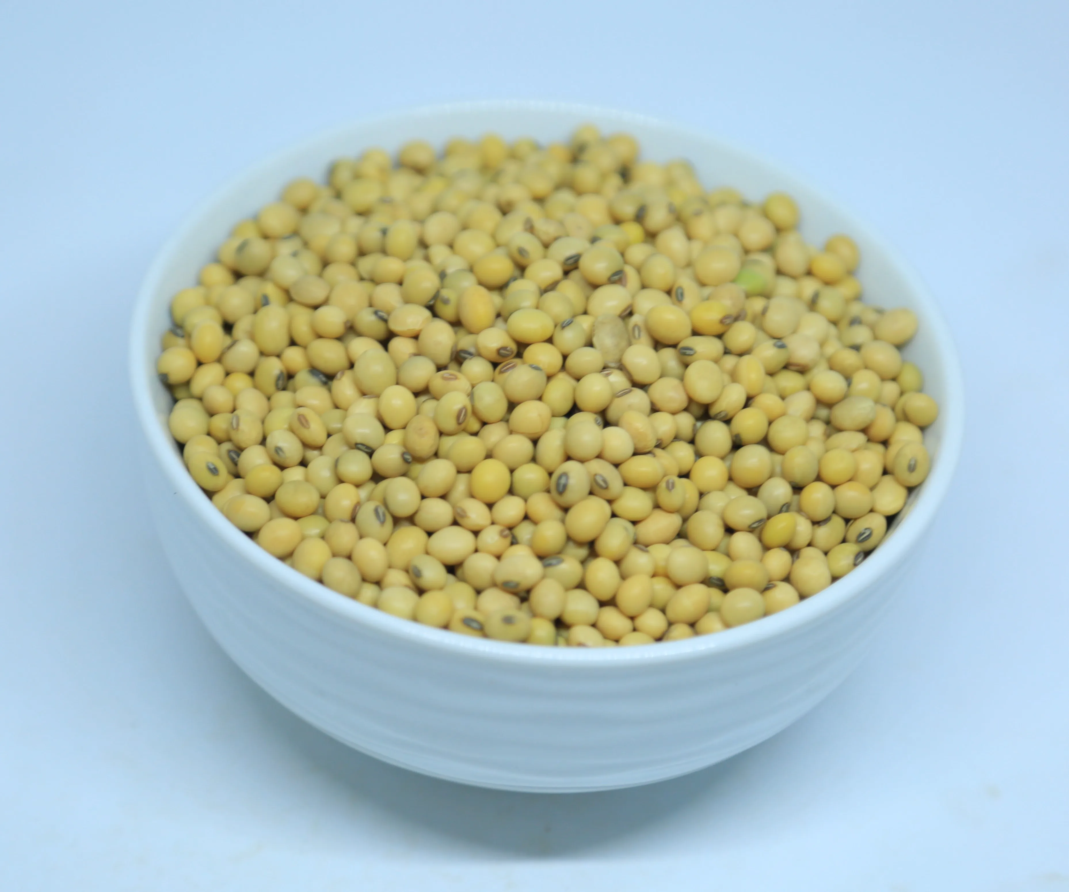 2024 Harvest Ethiopian Soya Beans - 14% Max Moisture,Grade 1 Quality ...