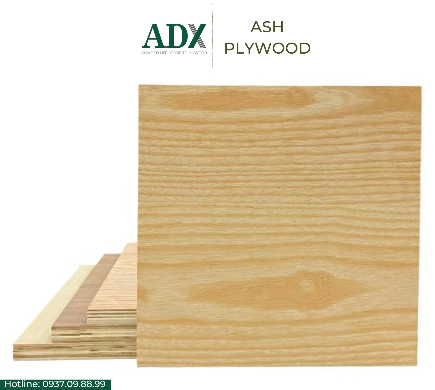 Mr Grade Ash Veneer Plywood 4x8 6mm With E0/carb P2 Glue Safe For ...