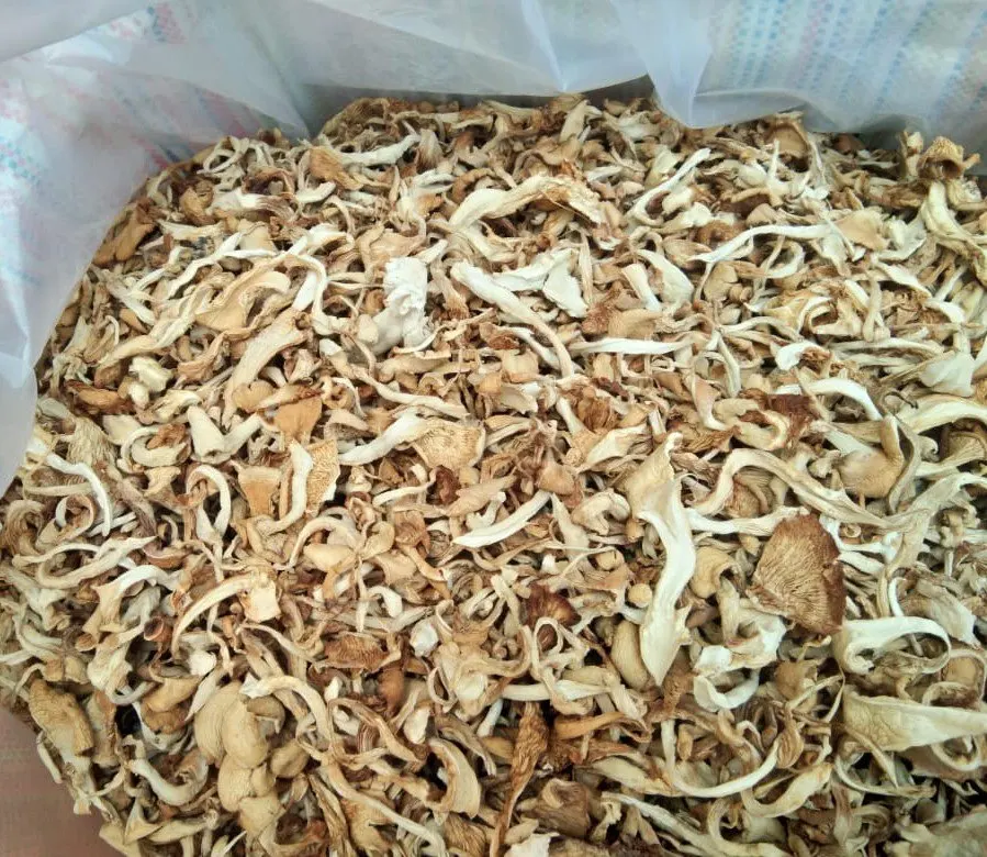 Wholesale Dried Oyster Mushroom With Competitive Price From Vietnam