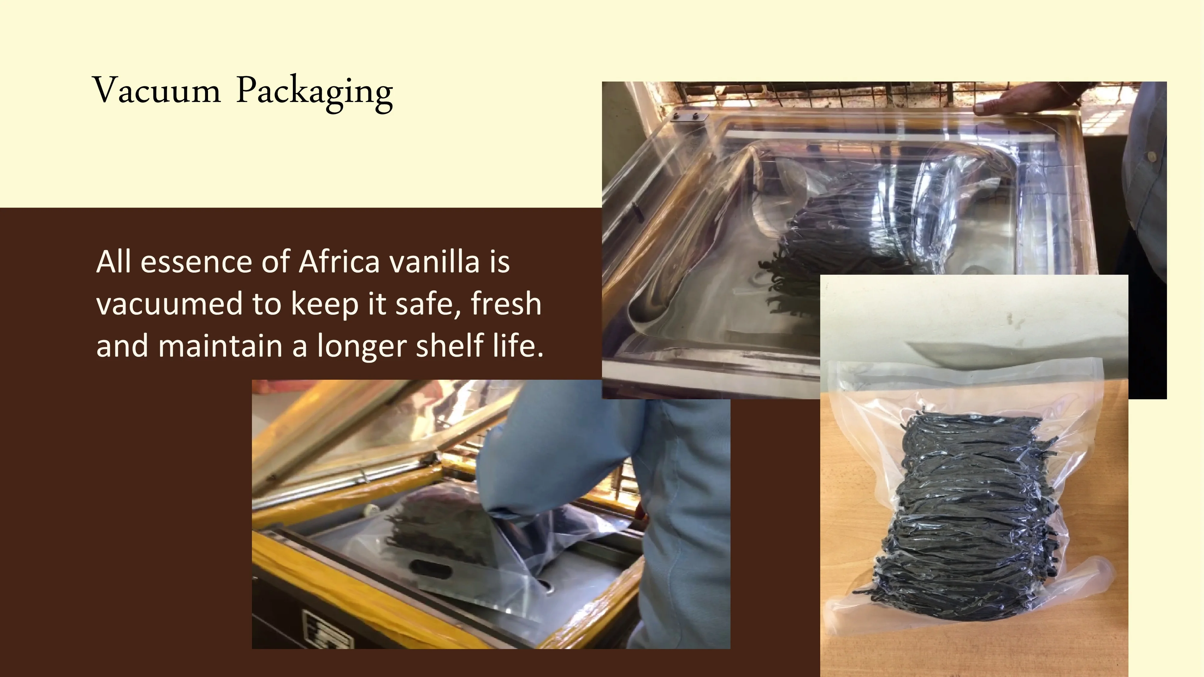 Gourmet Grade A Vanilla Beans Pods Perfect For Home Baking,Cooking