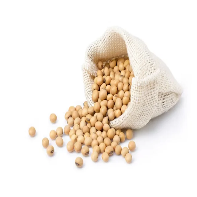High Quality Premium Natural And Non Gmo Yellow Soybean Seeds / Soya