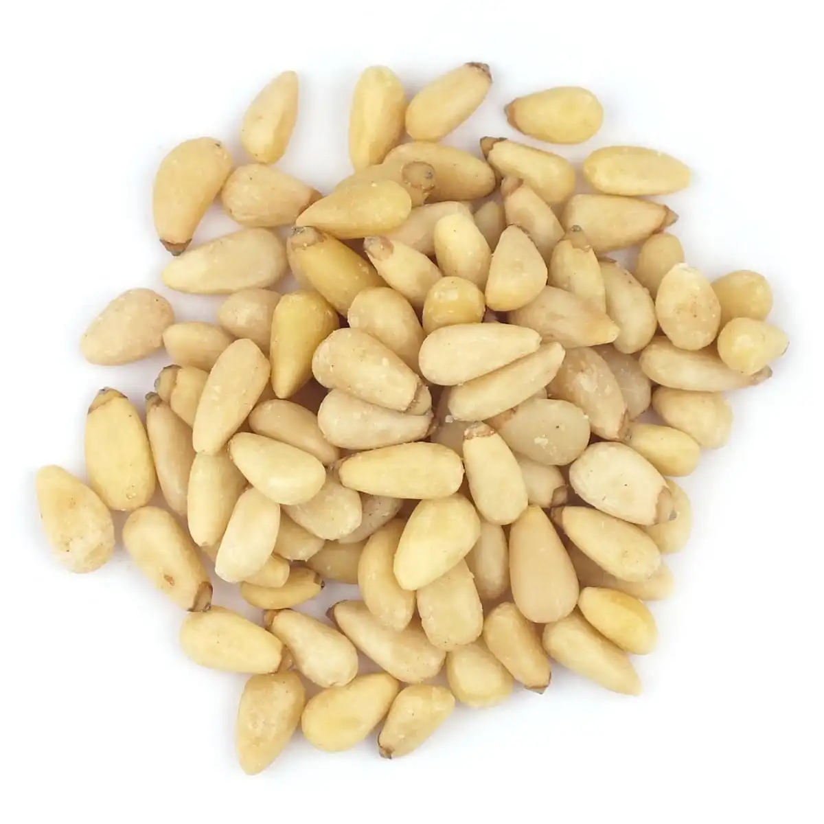 Wholesale Pine Seeds With Shells Pinoli Pignoli Nuts Pine Nut Buy