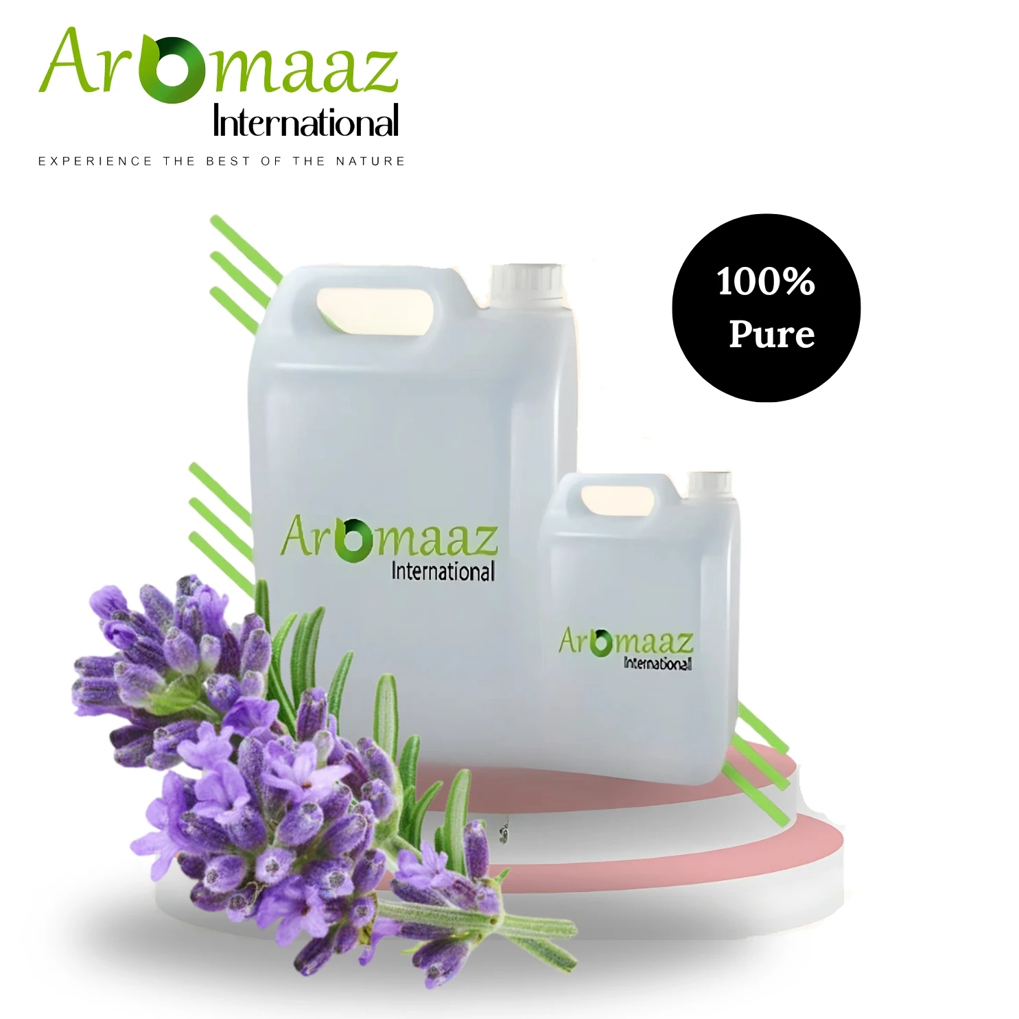 Global Exporter of Rosemary & Tea Tree Essential Oil with 100% Purity High Quality Hair Care GMP Certified Suppliers