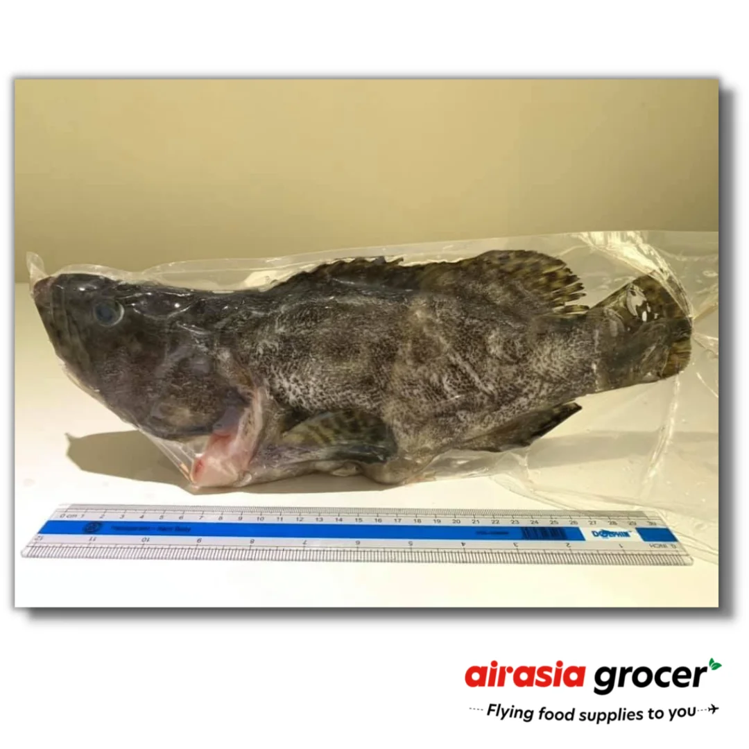 Best Quality Frozen Tiger Grouper Fish Wholesale From Malaysia Buy