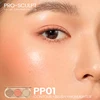 Pp01