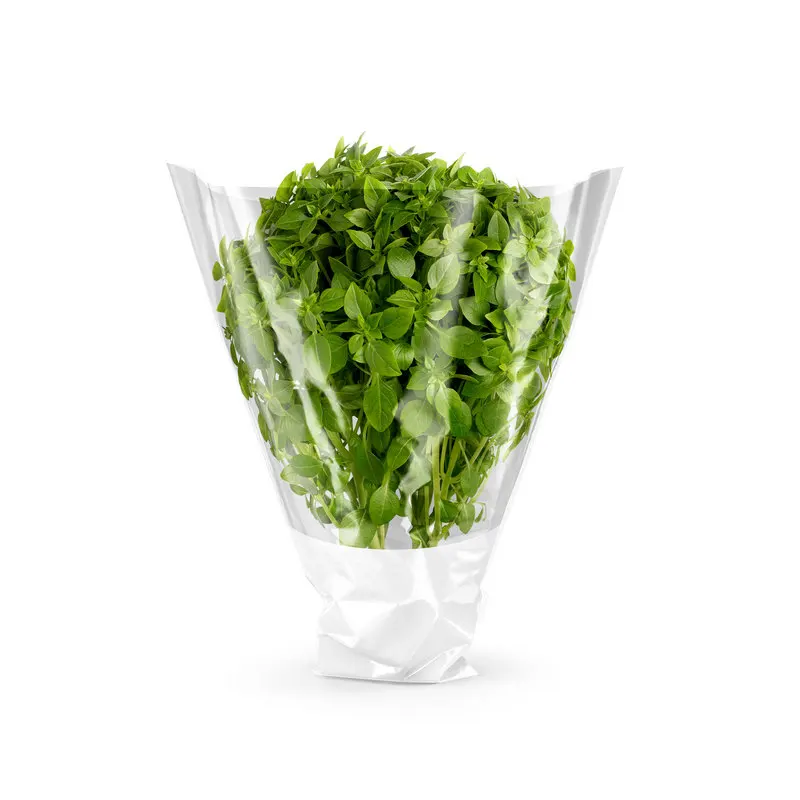 Customizable Macro Cast PP 40 Micron Perforated 2-Sided Plastic Bags Moisture Proof Packaging for Plants and Flowers Available