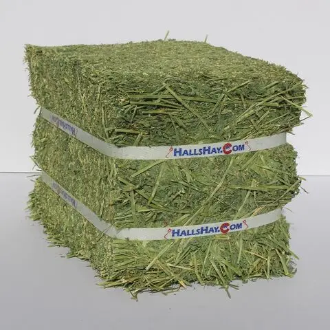 Super Top Quality Alfafa Hay for Animal Feeding Stuff Alfalfa / Timothy / Alfalfa Hay for Sale