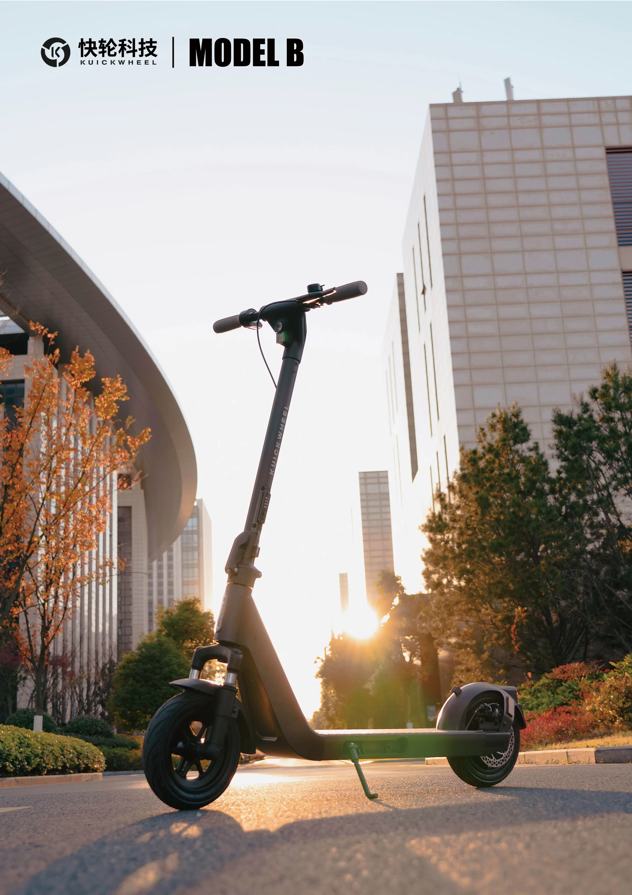 High Speed Electric Scooter For Adults 36v 350w Low Price Electric