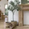 Or