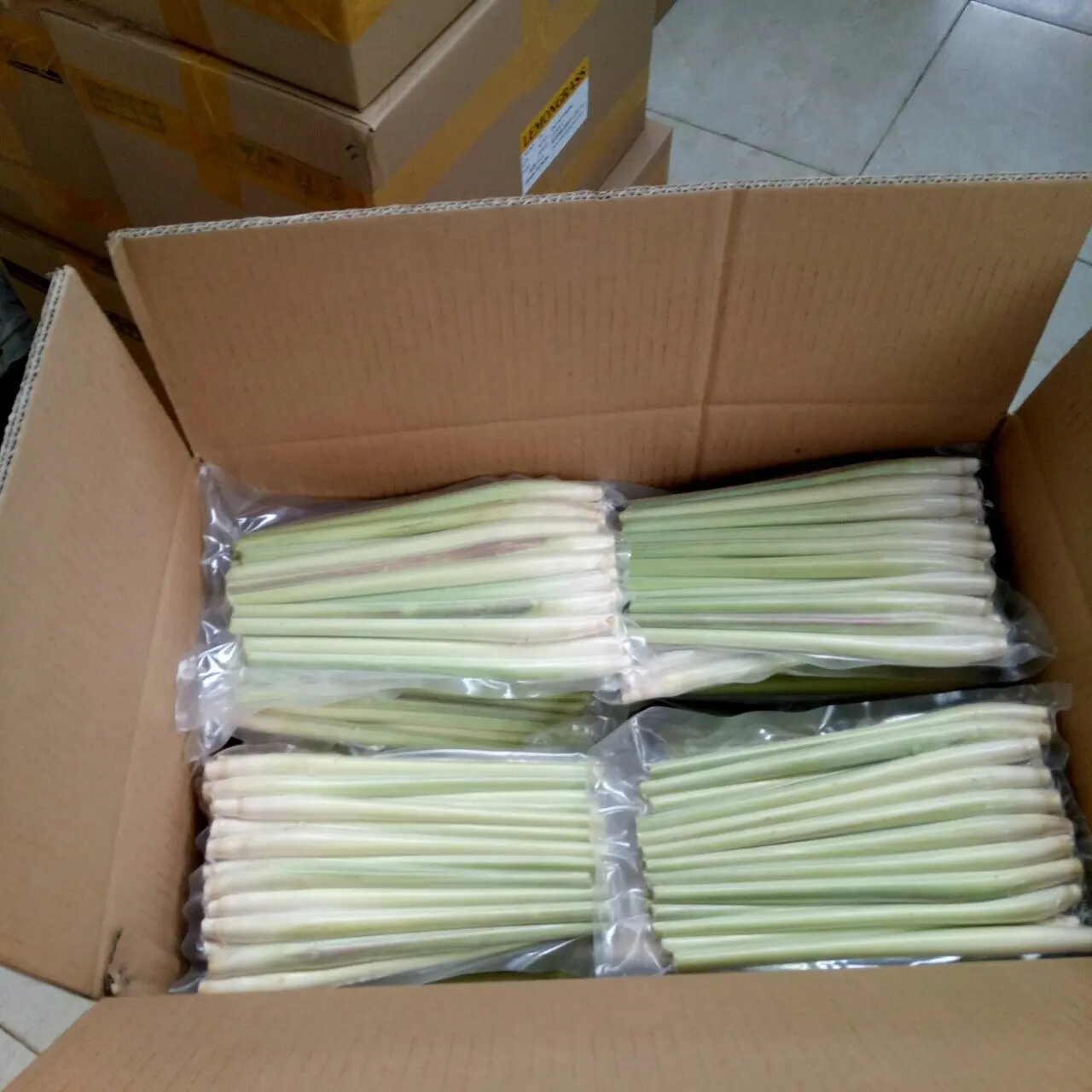 Fresh Lemongrass 1kg main image 1