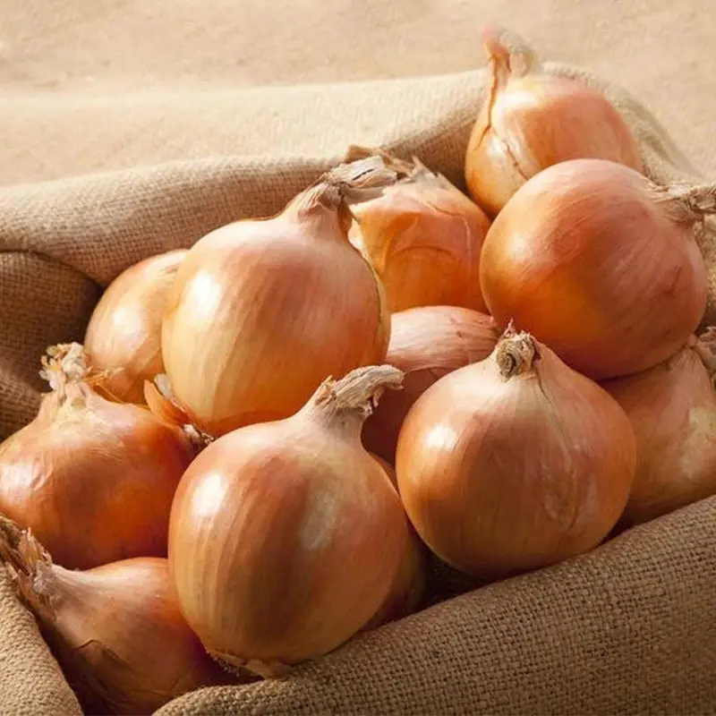 Fresh Yellow Onion Brown Onion Non Peeled Onion Price 1 Kg Cheap Price ...