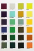 Earthy Colors