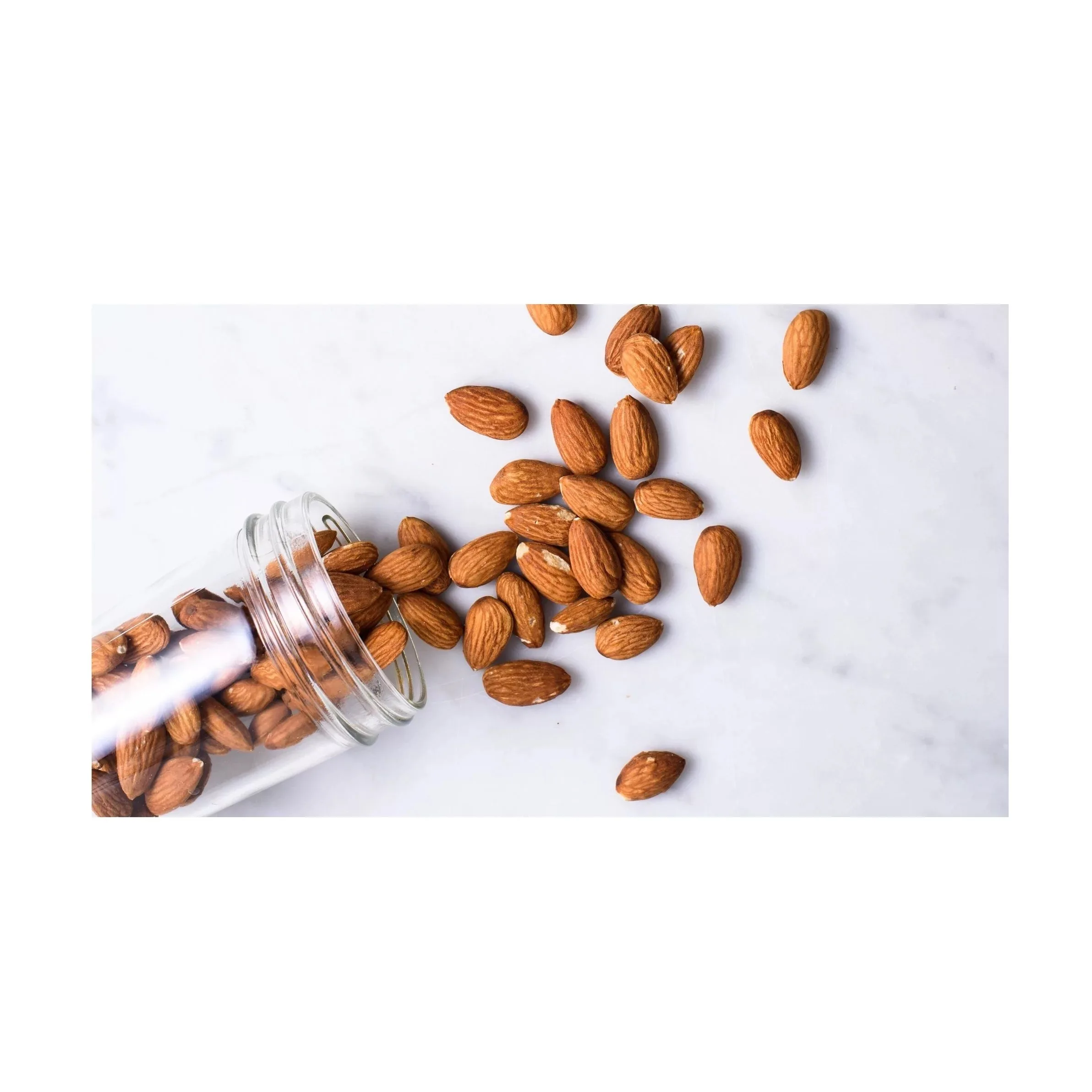 Premium Quality Sweet USA Almonds Nuts Available/ Raw Almonds Nuts Ready for Export