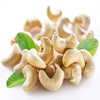 Discount Price Raw Cashew Nuts For Sale