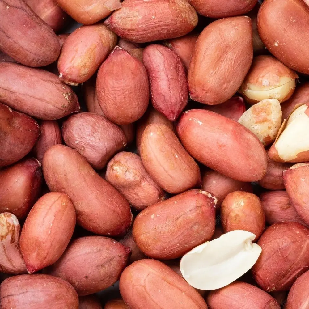 Best selling Jumbo Peanut Kernels/Peanut supplier for animal feed