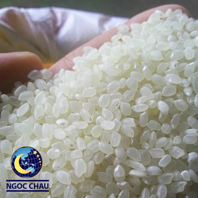 Short Grain Rice Japonica Rice Vietnam Supplier Premium Quality ...