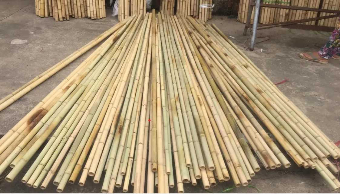 Bamboo Poles Treated Nature Raw Bamboo Straight Pole Bamboo From