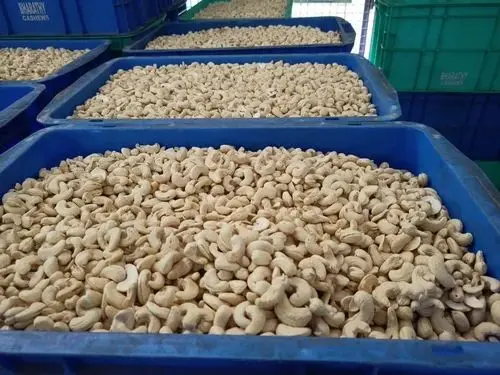 BEST PRICE BEST TASTE Cashew Nuts Roasted Raw Fried Baked All Size Nuts