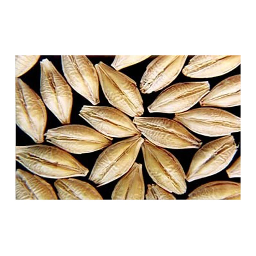 Сушеные украинские жемчужины и ячмень для производства