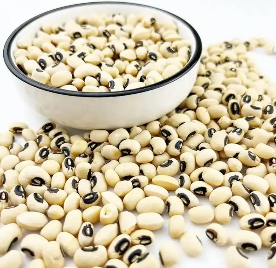 Wholesale Black White Eye Cowpea Beans Bulk Quantity Cheap Price Cowpea