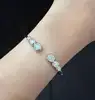Plata