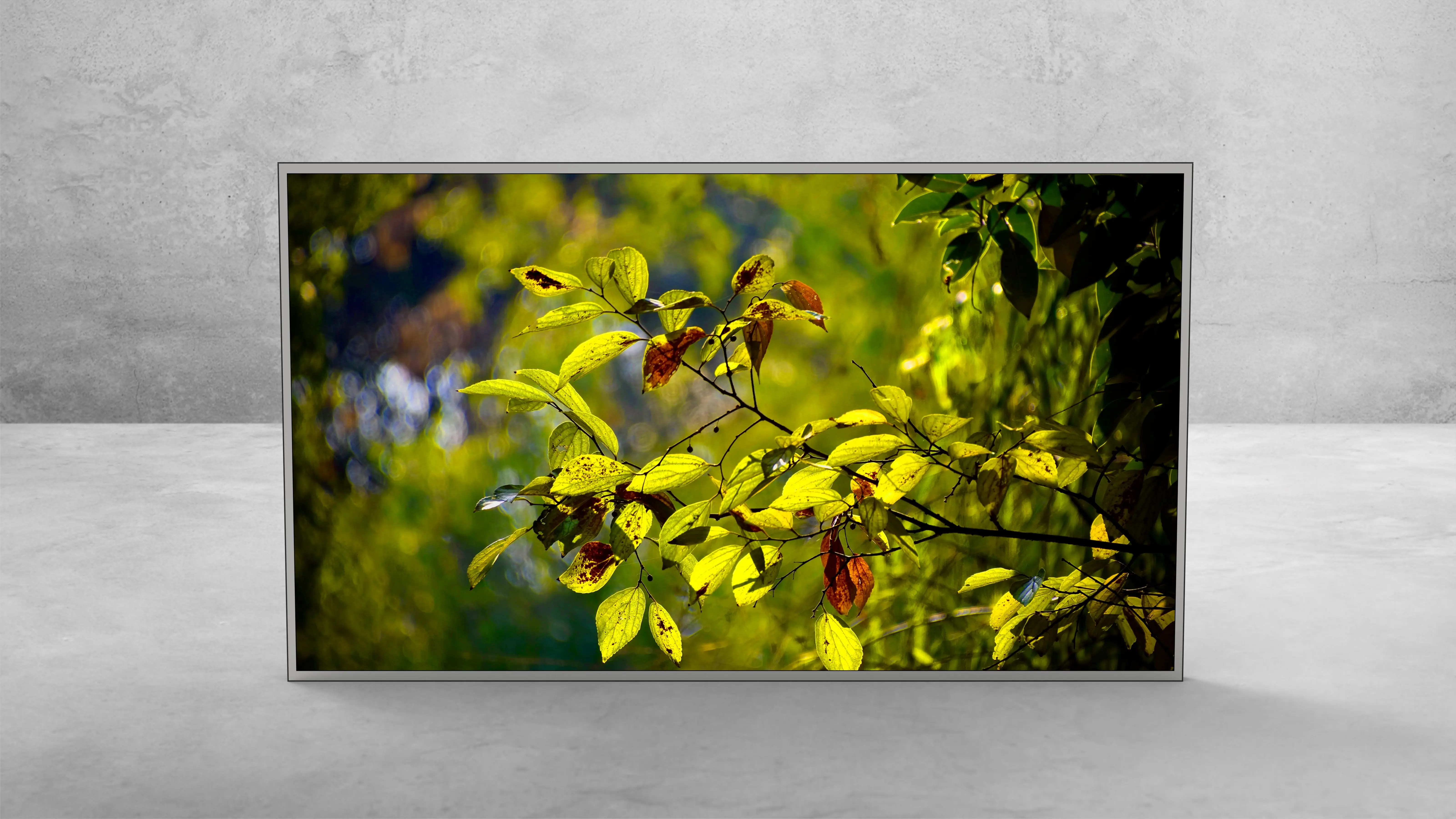 55 Inch High Resolution Lcd Monitor 4k 60hz 3840 X 2160 - Buy Large ...