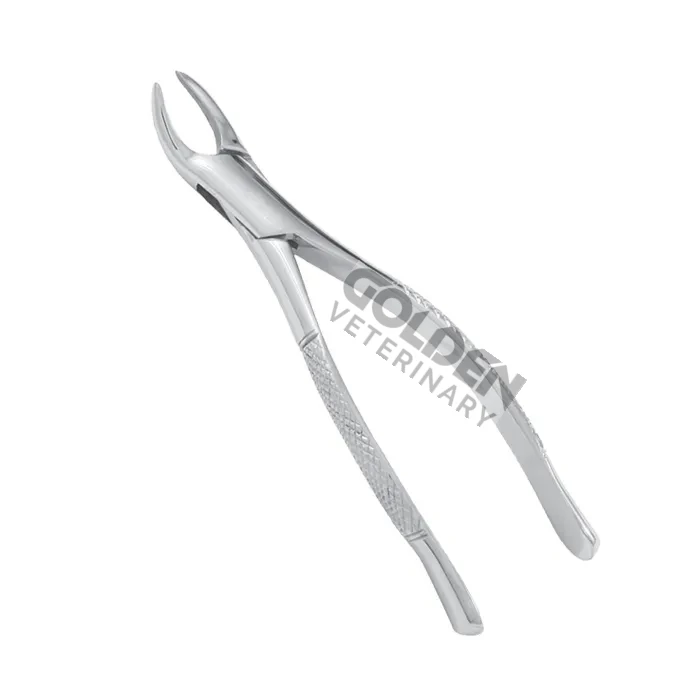 7inch Curved Incisor Tooth Forceps Equine Dental Instruments For Horse