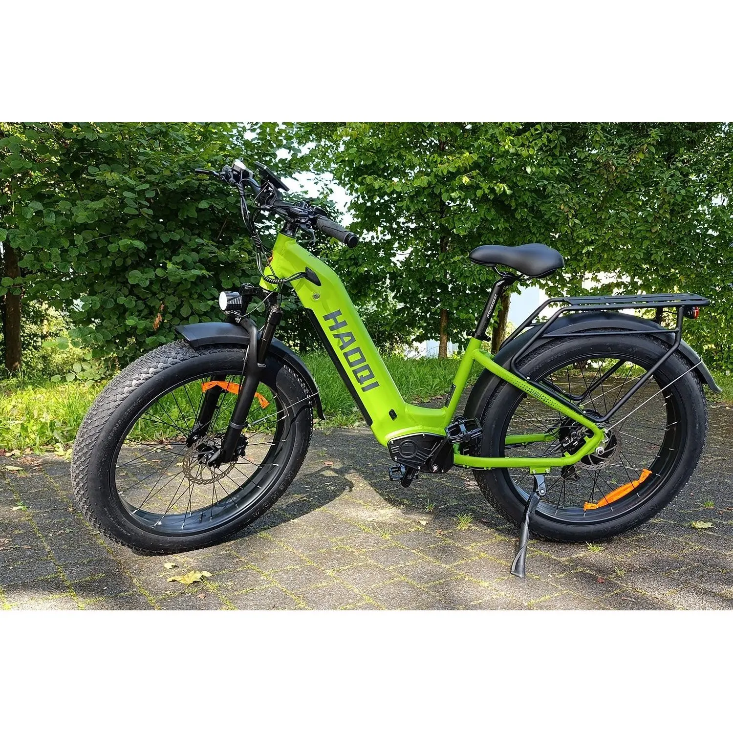 HAOQl All-Terrain 2.0 Electric Mountain Bike 250w Rear Hub Motor 48v Carbon Aluminum Frame 60km Range per Power Step Thru Eagle
