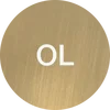 Polished gold
