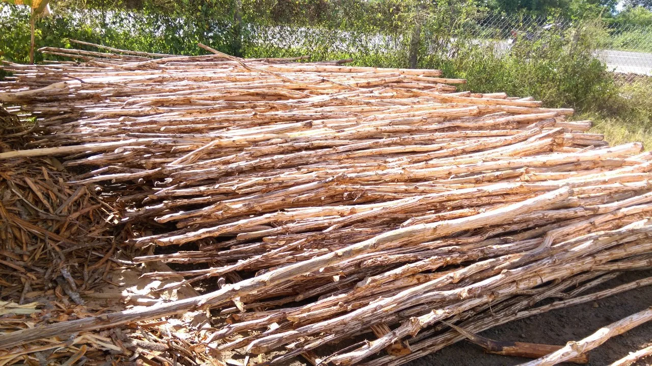WHOLESALE JOSS POWDER for EXPORTING FROM VIETNAM // (Ms. Jennie)