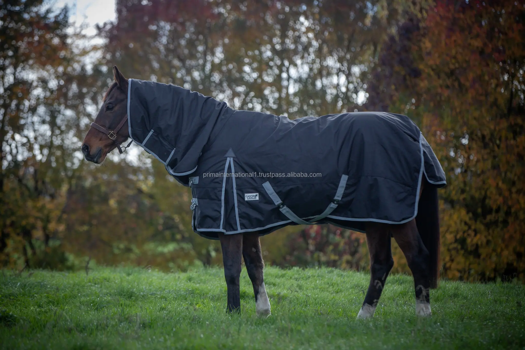 Tapis de dressage pour cheval antidérapant Premier Equine Airtechnology