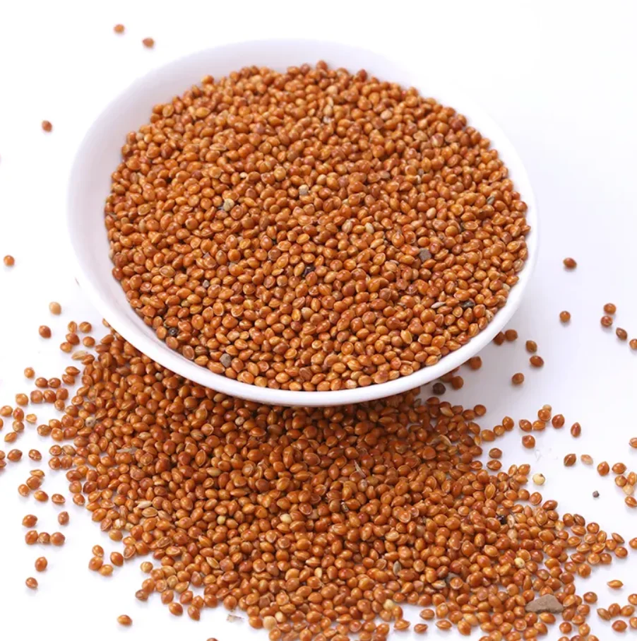 Ragi Red Millet Bajra/ Millet Bajra Seeds Dried Millet,Hulled Red