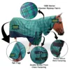 Green Purple Check / Dark Navy Blue- RGSM 114129